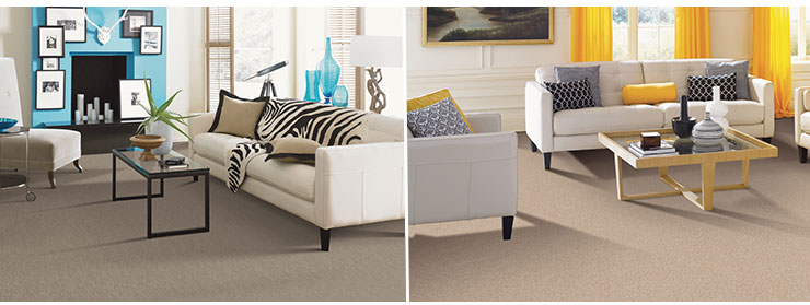 innovia touch xtreme clean carpet rooms